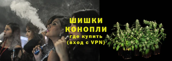 гидра Алексеевка