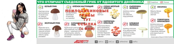 2c-b Алзамай