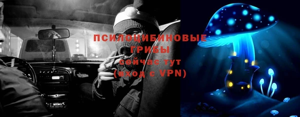 индика Алексин
