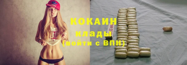 гидра Алексеевка