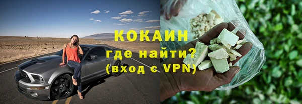 индика Алексин