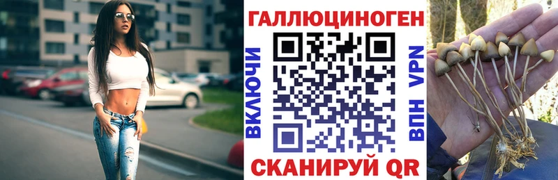 mega ССЫЛКА  Чапаевск  Галлюциногенные грибы Cubensis  закладка 