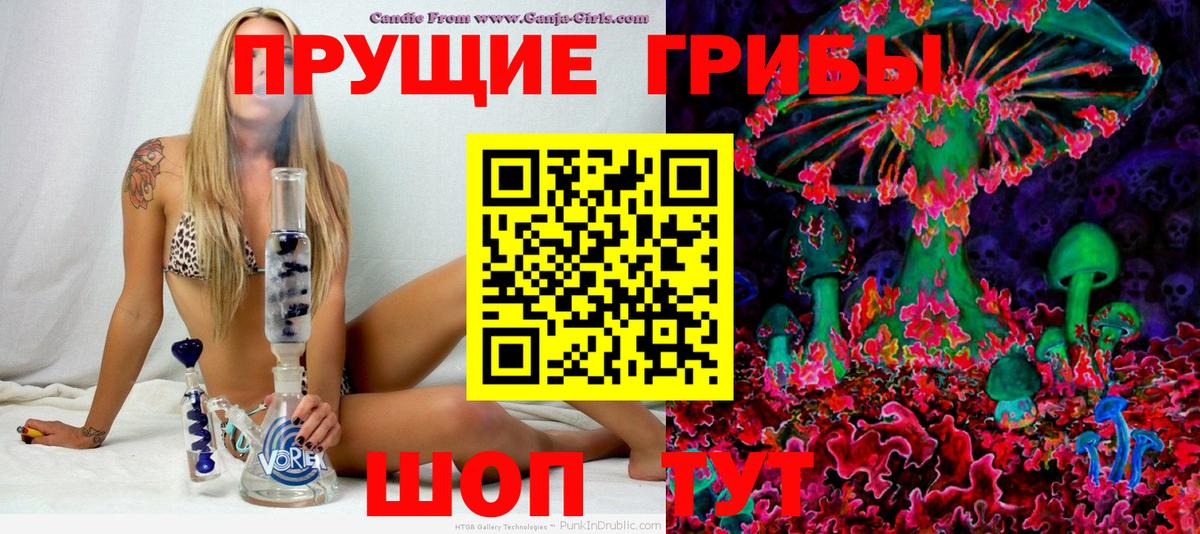 Чапаевск  Галлюциногенные грибы Psilocybe  Вход с VPN 